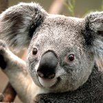 이만 잠자리로가겠음...ㅋㅋㅋㅋㅋㅋㅋㅋㅋㅋ판재밋군 ㅋㅋㅋㅋ낼<b>보세</b>
