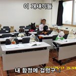 아 줏대없어 내가 <b>총때</b>매고 인증한다