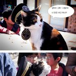 광고에 등장했던 타마를 만나러 키시역으로 <b>렛츠</b> 고~!!