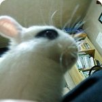 제 눈에 안경이래도 <b>무척</b> 귀여운 우리 귀염둥이♥