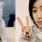 호나우딩요, <b>함은정</b> 닮은꼴