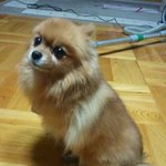 할매가 물었음- _ㅠ
