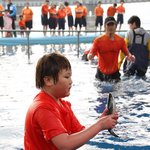 <b>화천</b> 산천어 루어낚시, 맨손잡기 