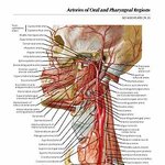 ☞☞☞☞ 의대의 추억 (2편-본과생활)☜ ☜ ☜ ☜