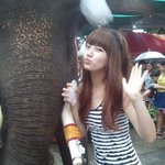 눈 정화하고싶으면 <b>와라</b>