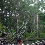 사진 유@@로맨틱하지 않은 프랑스인 약혼자 9 @@