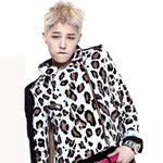 최근 대세인 호피<b>무늬</b> 패션의 연예인들