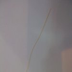파리<b>바게트</b>빵에서나온이건 뭐?