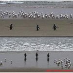 해안의 일진들의 <b>위엄</b>