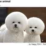<b>밑</b>에 이근홍님 얼굴<b>사진</b>보다 얘네가 훨씬 잘생김