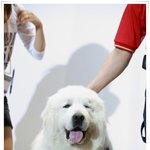 억울합니다 저희 형은 <b>상근</b>입니다
