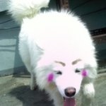 세림양 내 이제 <b>개사진</b>바뀠다
