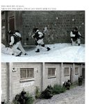★★★★★★인류는 한<b>민족</b>, 하나!★★★★★★