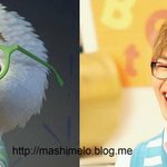 샤이니 유타모음