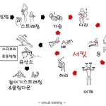 여기저기 숨은 군살 제거 운동법