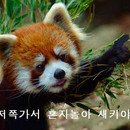 이래도 되는겁니까?