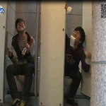 땅콩볼 안에 땅콩이 실종됐어요!!