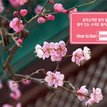 봄이 오긴 오는건가요? 꽃샘<b>추위</b> ㅠㅠ
