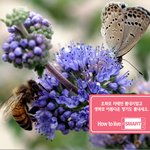 시어머님께 <b>미움</b> 안받기 작전 2