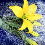 <b>long</b> time no see~!!  ^_^*