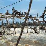 아프리카 선교 기도 합시다.3