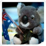 호주생활 <b>tip</b>♥  <b>tip</b>♥ <b>tip</b>♥ <b>tip</b>♥ <b>tip</b>♥