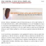 네이트년들아.. 낙태의 대해서 자기<b>합리</b>좀 하지마..ㅉㅉ