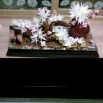 ■■■■지났지만 화이트데이 대박 이벤트■■■■