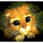 ★호주에서 일자리 구하실때 <b>tip</b> ★대박정보