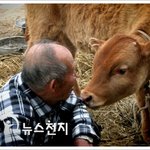 우리나라의 <b>재난</b> 구제역. 아직 진행중입니다.
