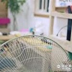 냄새에 직빵! <b>축축</b>한곳에도 직빵!! 진작좀.........