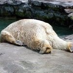 ab형에 대해... 요런게 없는거 같아 써봄 ㅋ (2)