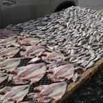 --- 티비출연!!! 막가는 자전거여행 4박5일 4일차 -----