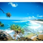 깨끗한 자연과, 최적의 어학연수 환경 호주 ▶누사◀ 생활!!