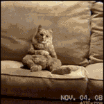 ★★★★ 남자들 소개팅 이렇게 하면 다 내여자야 ★★★★