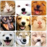 보이스피싱전화를받고 역관광시켜줬어요 ㅋ