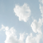 <b>사랑</b>해♡란..?!!