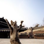 신이시여!! <b>가혹</b>합니다..