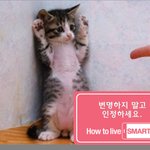 잘못한 거는 얼른 인정하세요.