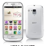 베가s 쓰시면 봐주세요