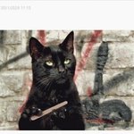 사진有] 24男 혼자서도잘해요[2탄]