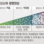 <b>체내</b> 활성산소가 위험한 이유.