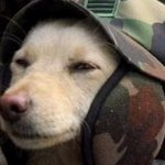 <b>a형</b>남자 내남자로 만들기