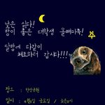 낮보다 밤이좋은 올빼미족~ 여기주목!! 한강공원에서 <b>달밤</b>에국민체조!!