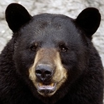 ★<b>happy</b> birthday★