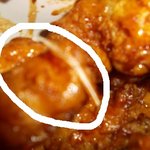 닭털 나온 <b>호식</b>이 두마리 치킨!