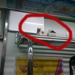 (수정) 지하철에 우유팩 <b>투척</b>하고 간 커플들 보아라 ㅡㅡ