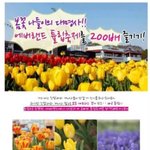 봄꽃 페스<b>티</b><b>발</b>이 가득한 곳에서 봄을 느껴요