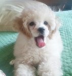 도와주세요 <b>부산분</b>들......