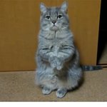 이힝 <b>출출</b>해